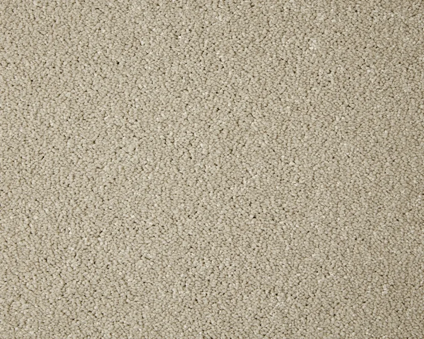 Primo Grande Carpet by Cormar Carpets | Quality Flooring