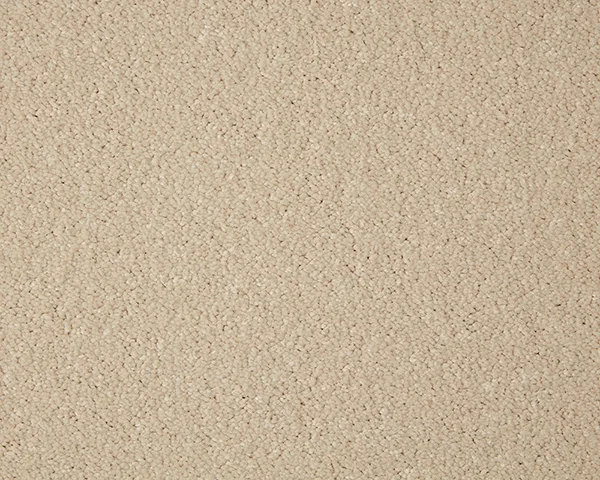 Primo Grande Ceramic
