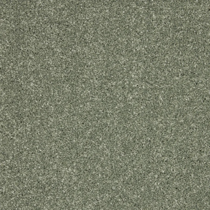 Inglewood Saxony Willow