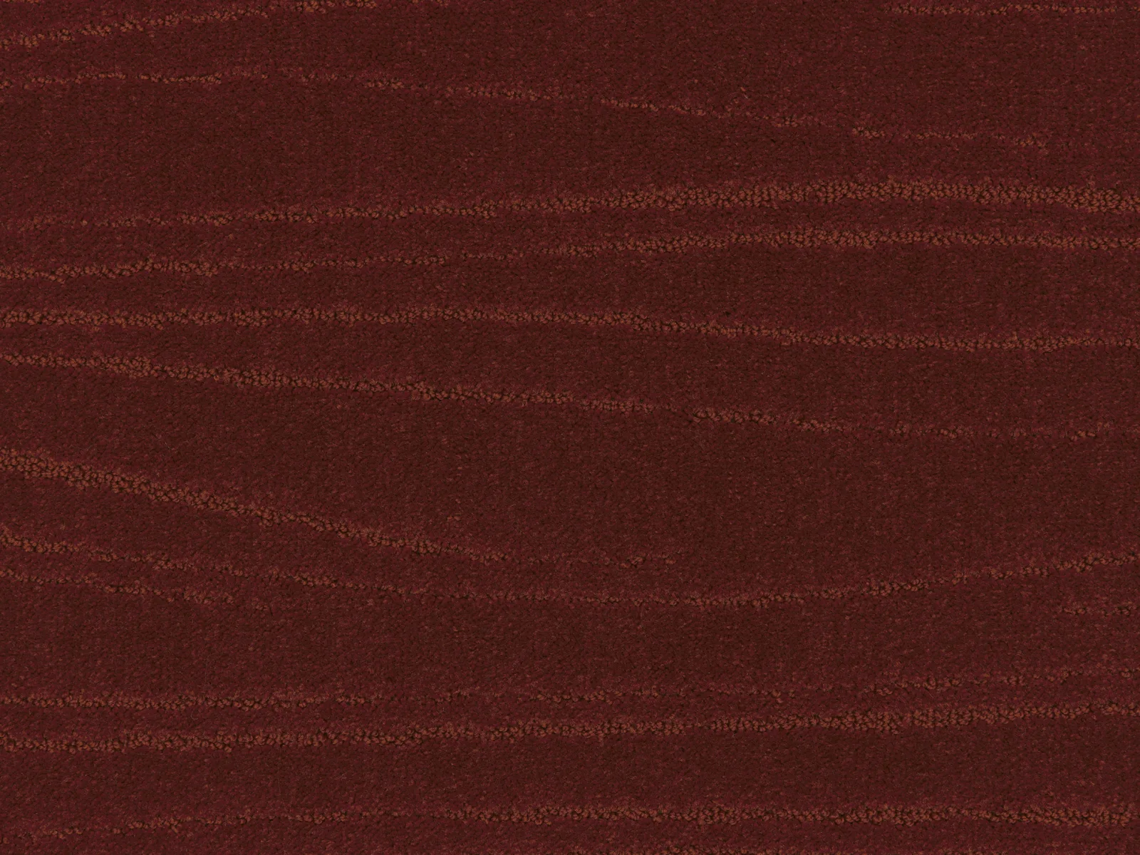Lano Carve Linea Carpet | Durable and Stylish