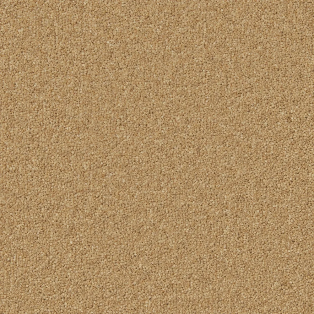 Hampstead Carpet by Cormar Carpets - Quality & Elegance