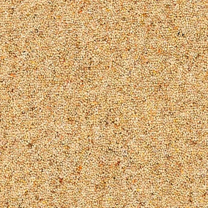 Chesil Beach
