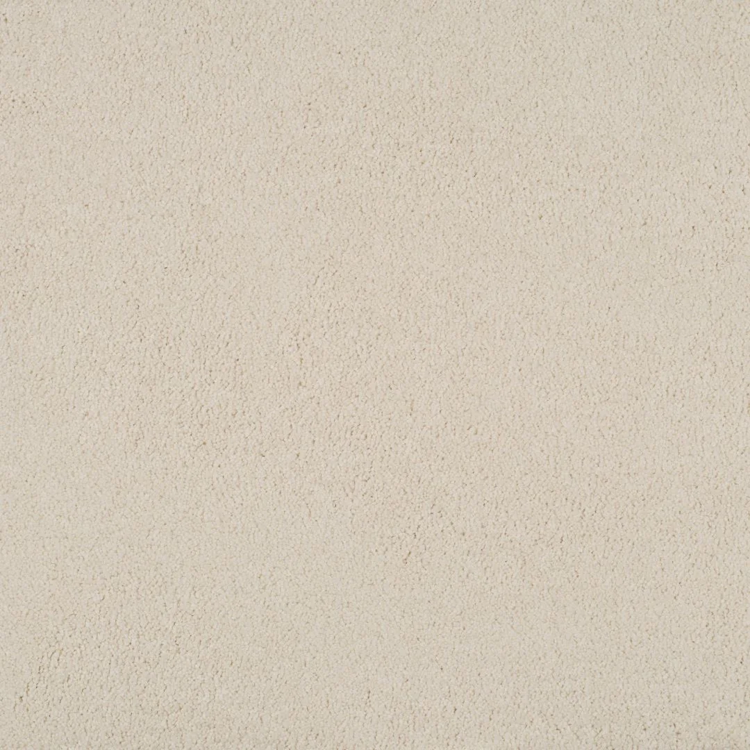Magical Feeling Carpet by Balta – Quality Flooring