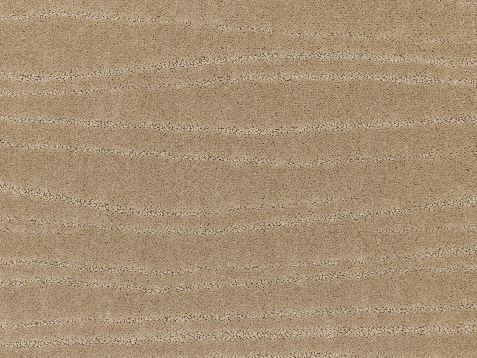 Lano Carve Linea Carpet | Durable and Stylish