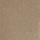 Aries Sandstone