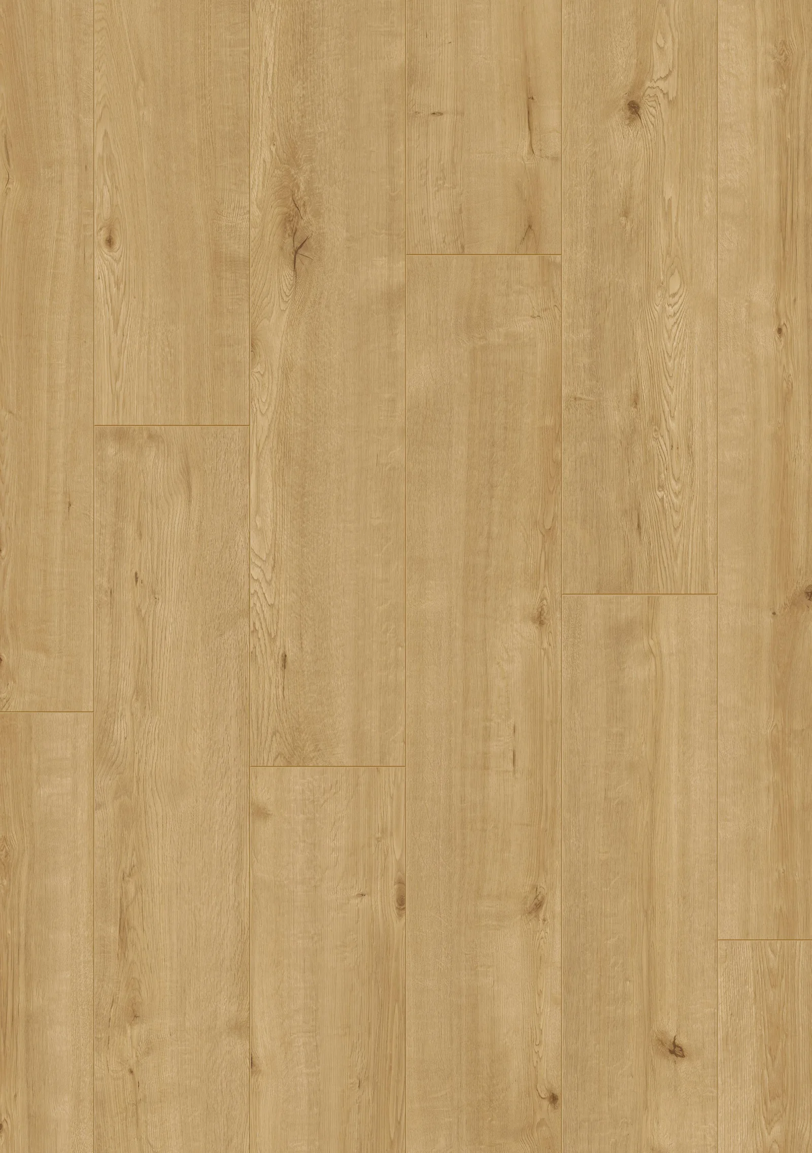 Neptune Laminate Flooring by Furlong Flooring