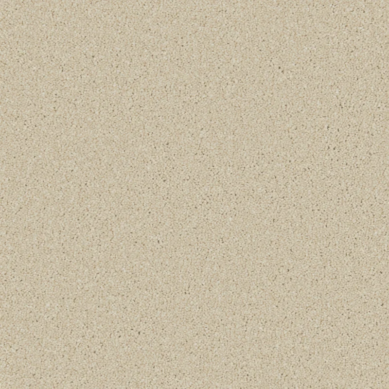 All Carpets Caribou