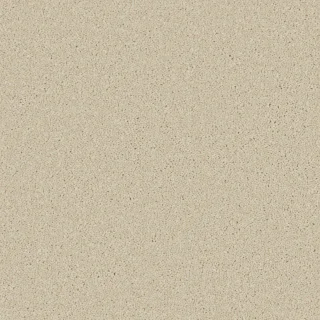 Caribou