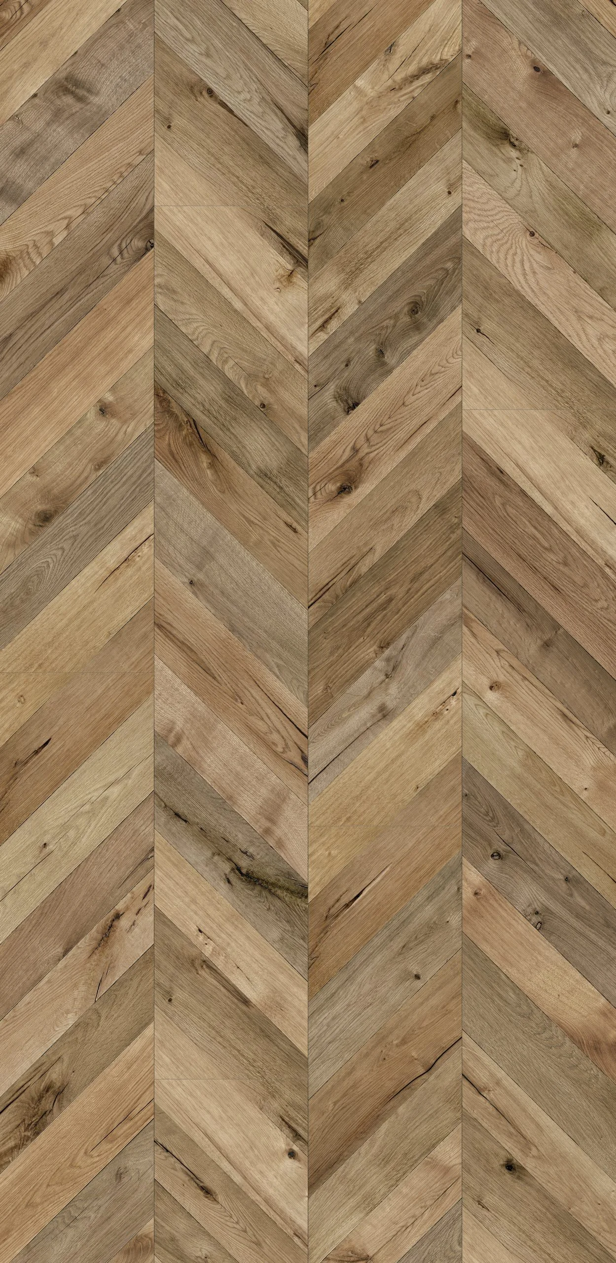 Kaindl Fishbone Oak Fortress Rochesta