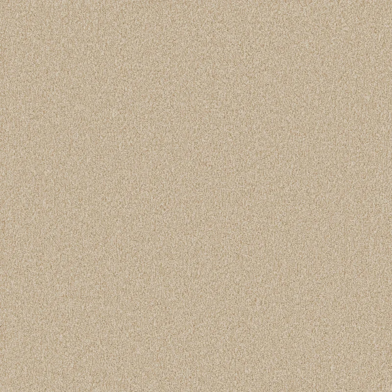 Primo Natural Carpet Range Miami Beach
