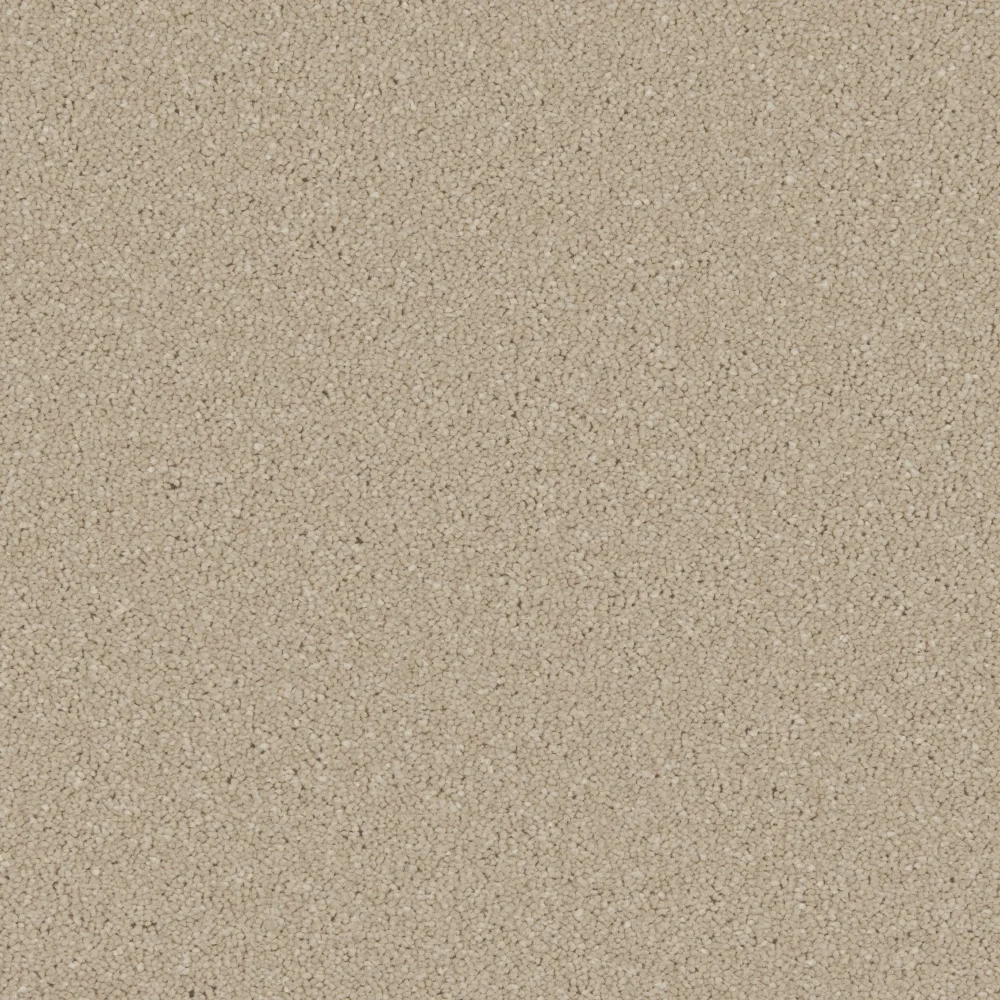 Zenith Carpet by Cormar Carpets - Quality Flooring