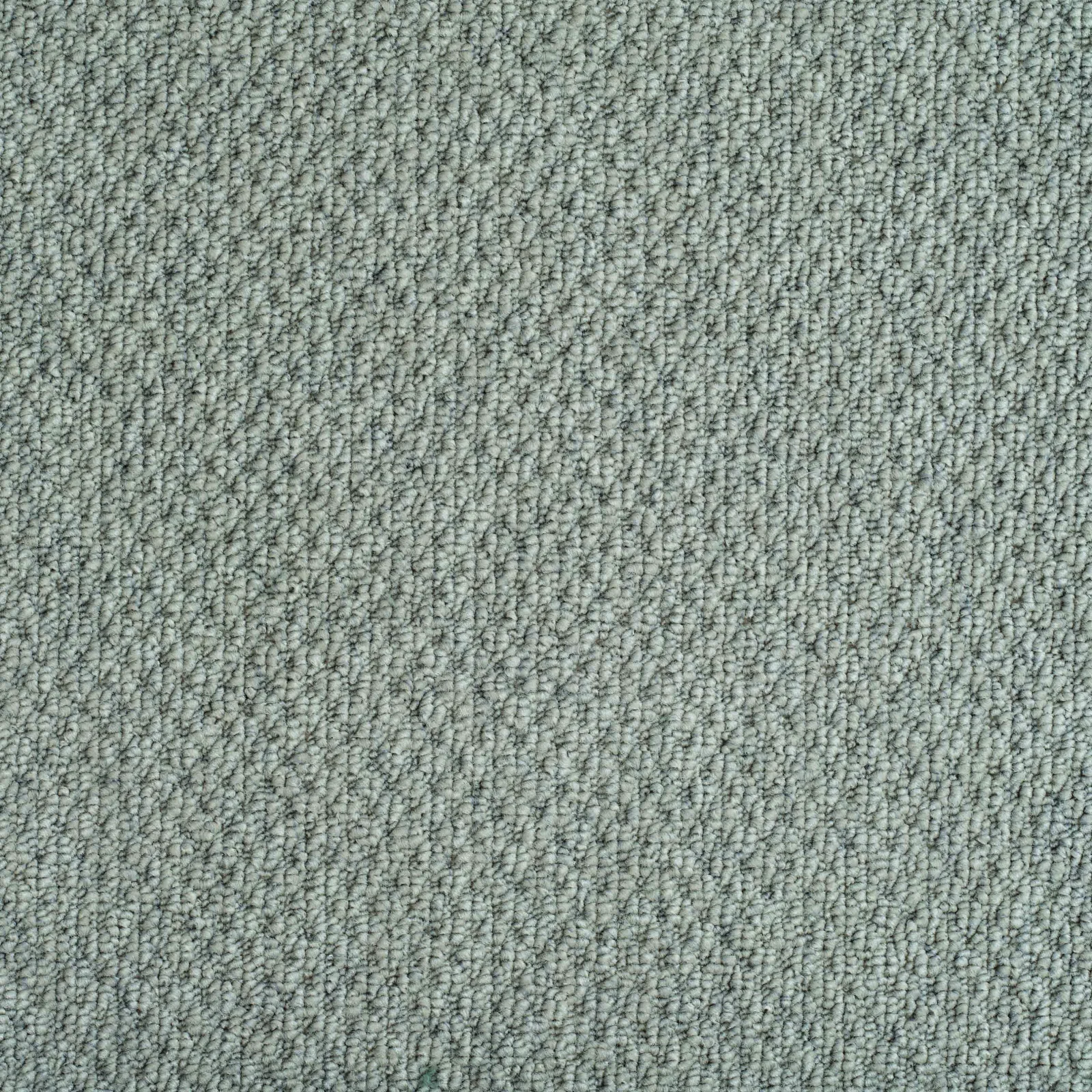 Designer Style Carpet by Balta - Quality Flooring