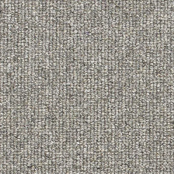 Grey Willow
