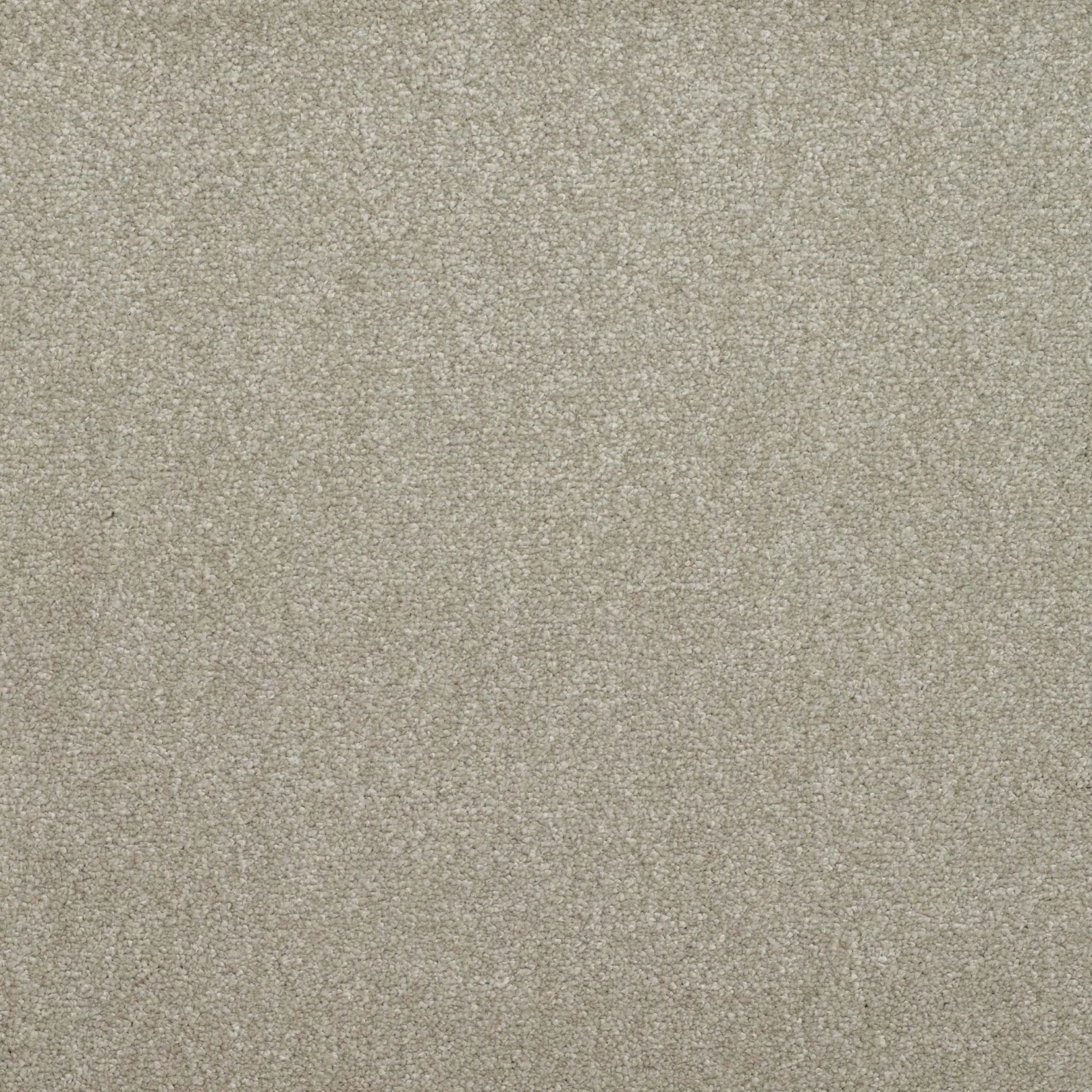 Addiction Carpet by Balta | Quality Carpets in Wednesfield