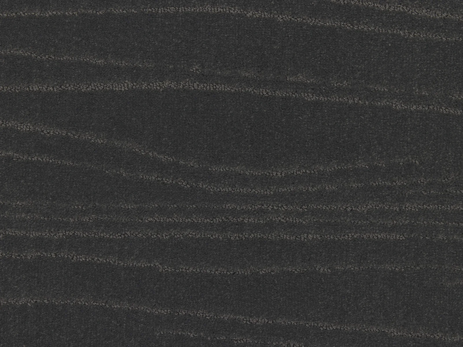 Lano Carve Linea Carpet | Durable and Stylish