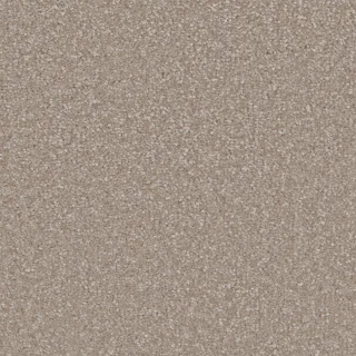 Sensation Mother of Pearl