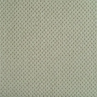 boucle latte