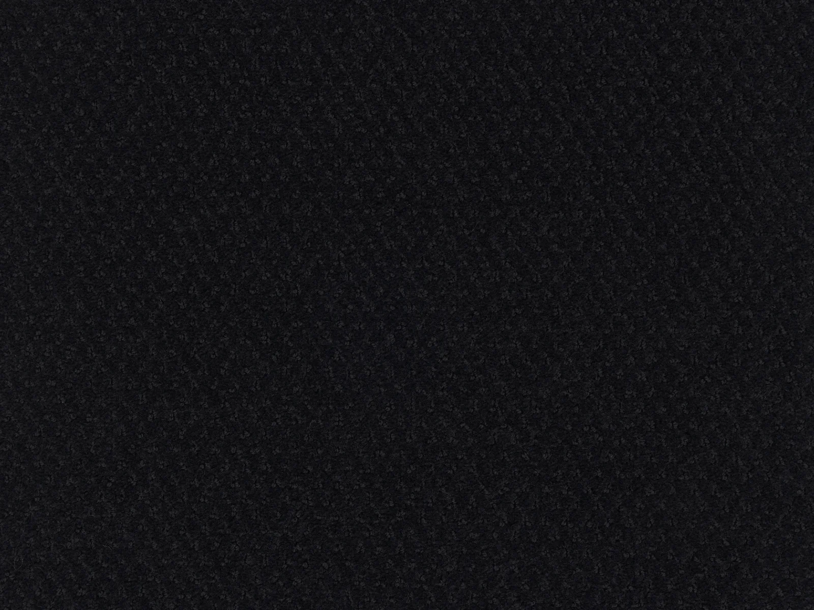 Carve Classic Carpet by Lano - Durable Polyamide