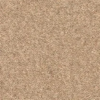 Soay Moorit