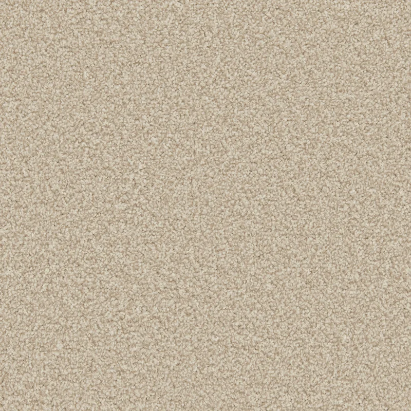 All Carpets Shortbread