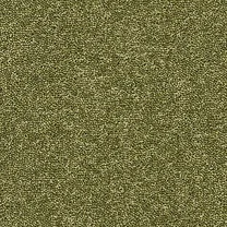 Moss Moss