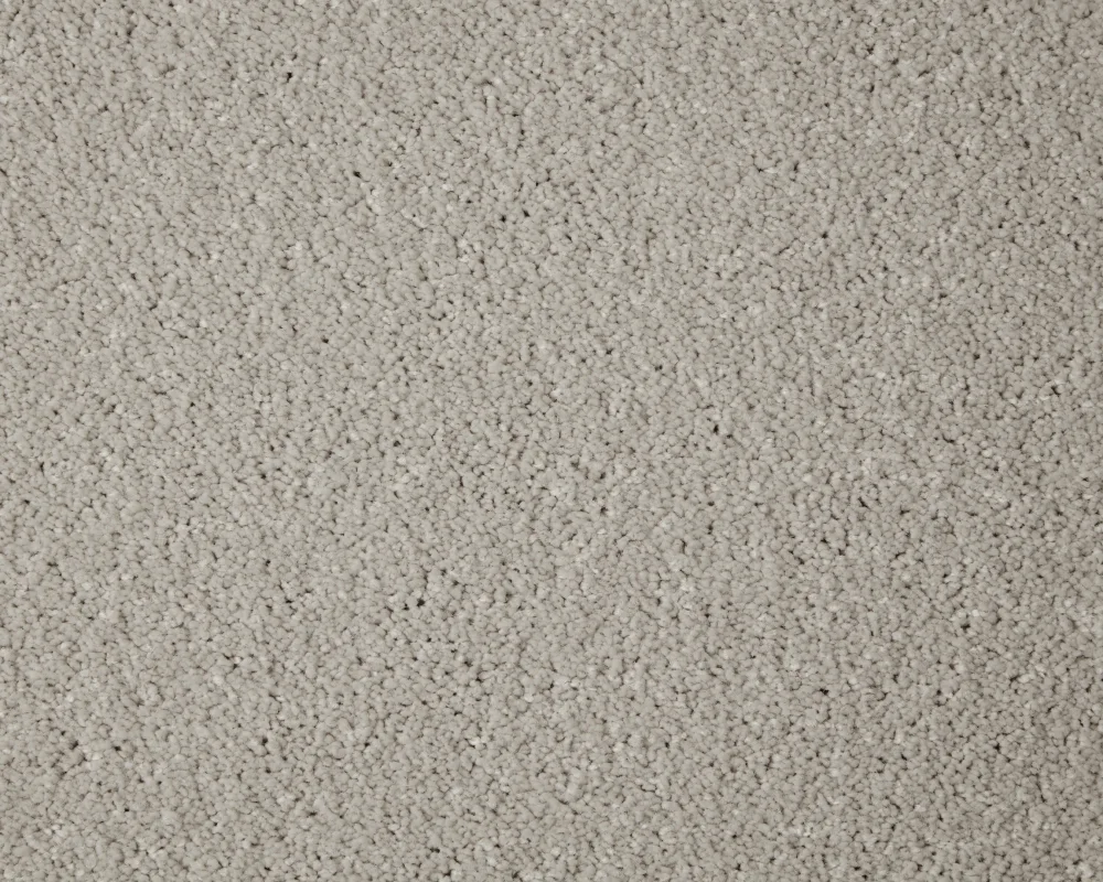 Primo Grande Carpet by Cormar Carpets | Quality Flooring