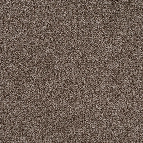 Atlantic tatch brown