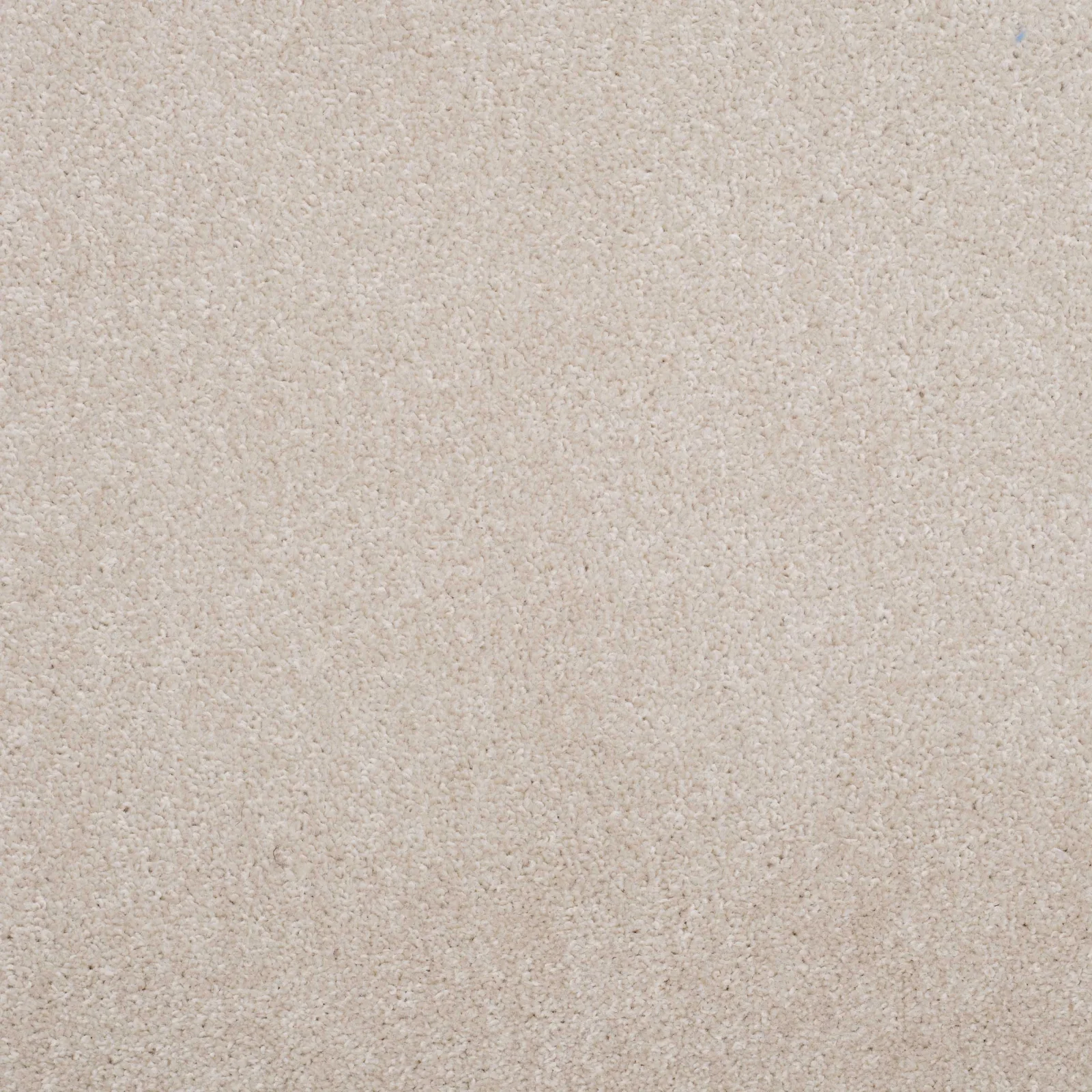 Super Twist Carpet by Balta - Quality Flooring in Wednesfield