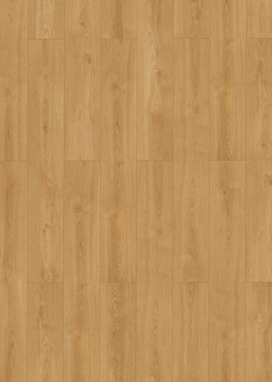 Taunus 8mm Laminate Flooring by Furlong Flooring
