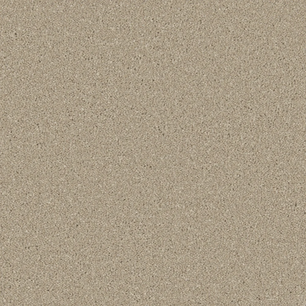 Zenith Carpet by Cormar Carpets - Quality Flooring