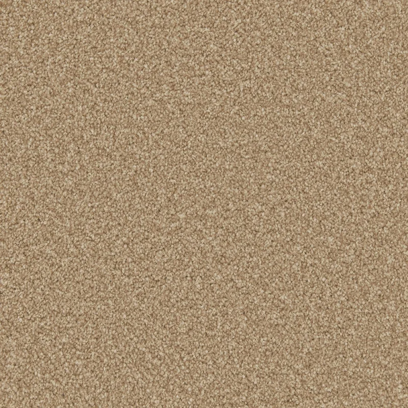 Apollo Plus Stepping Stone