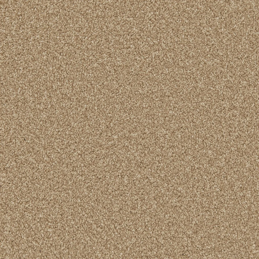 Apollo Plus Carpet by Cormar Carpets | Quality Flooring