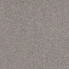 Westend Velvet Silver Birch