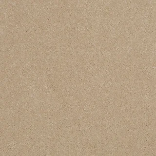 fawn