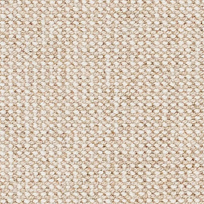 Bay Coral