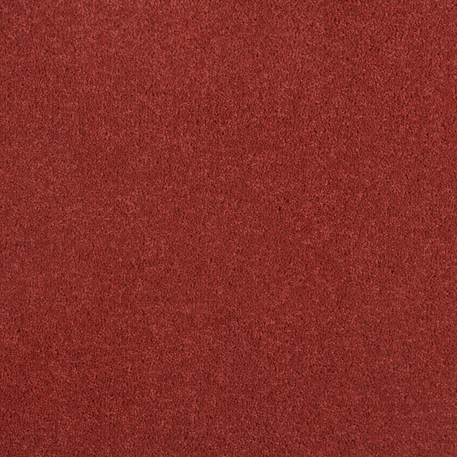 Durham Twist Carpet by Hugh Mackay | Quality Carpets