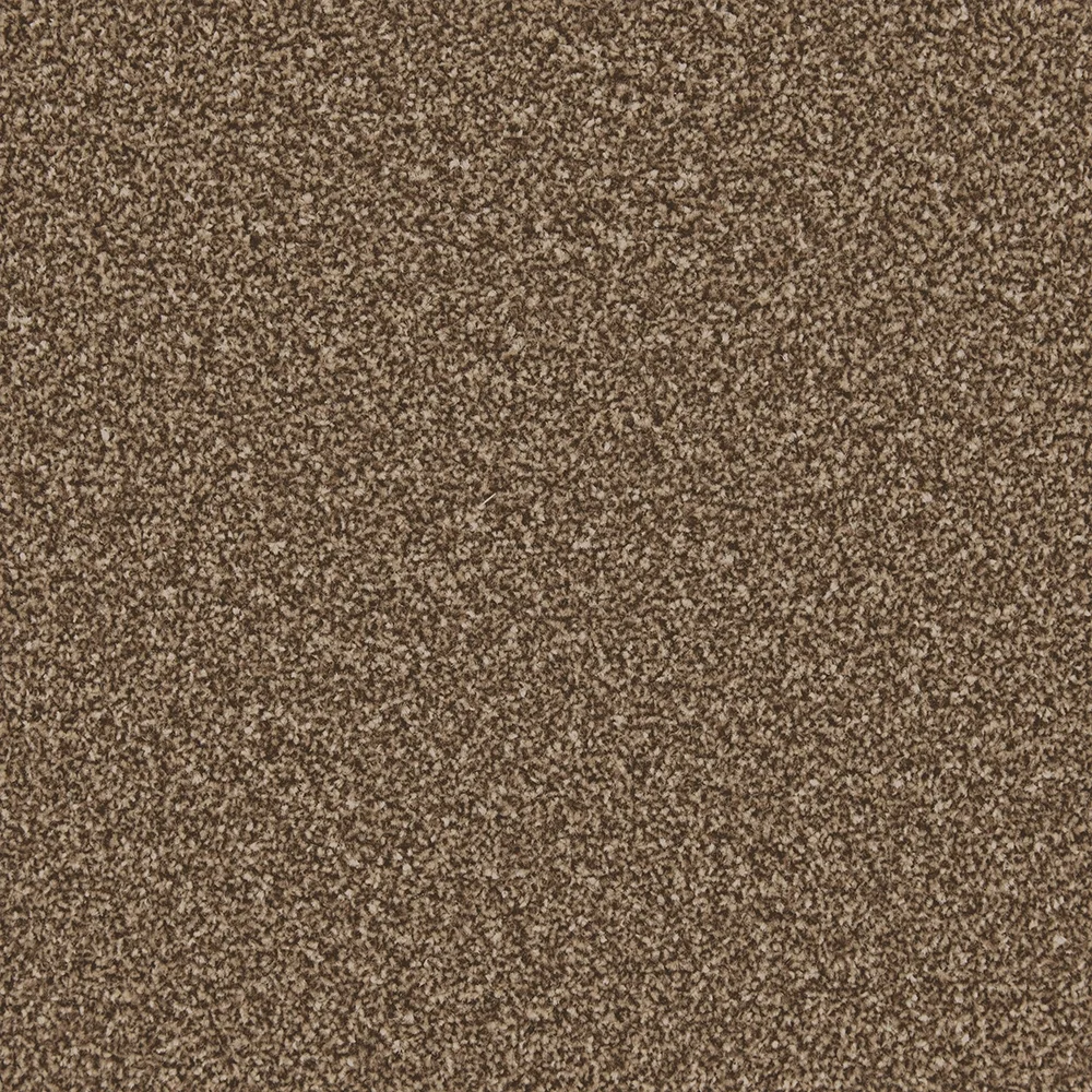Apollo Plus Carpet by Cormar Carpets | Quality Flooring