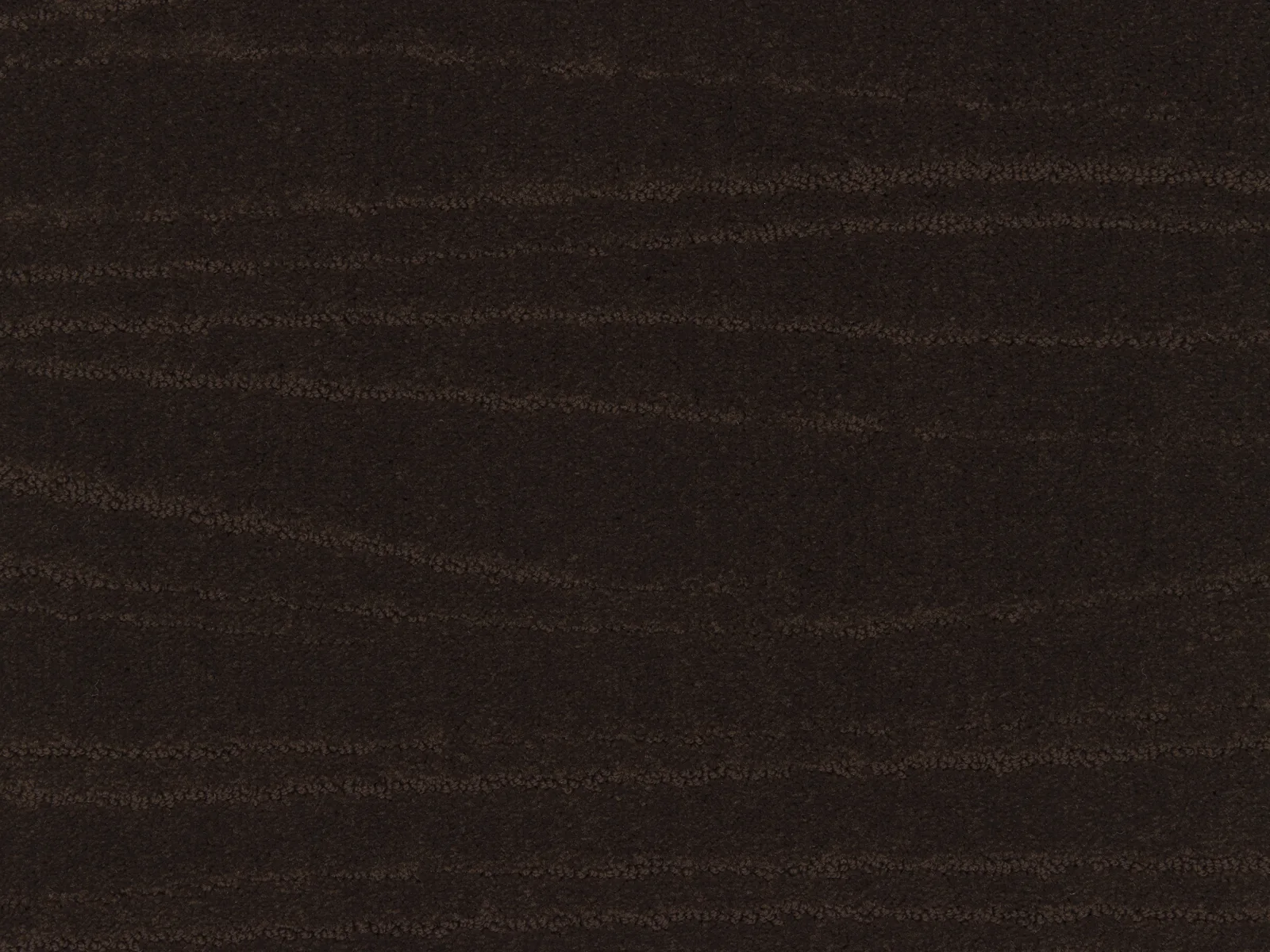 Lano Carve Linea Carpet | Durable and Stylish
