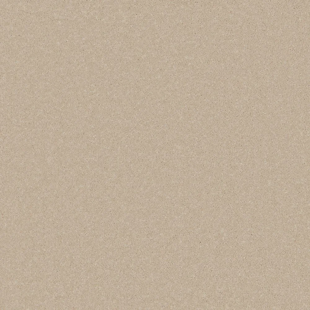 Elegance Carpet by Furlong Flooring | Quality Carpets