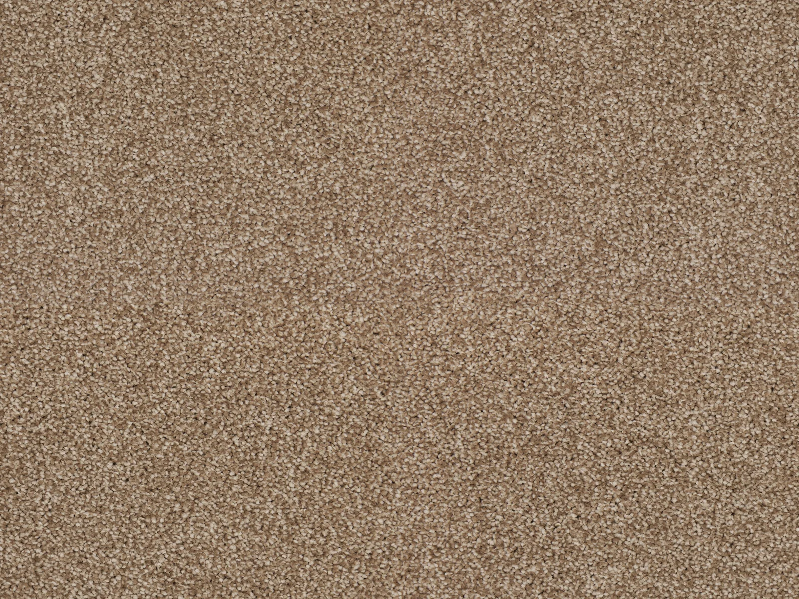 Heathertwist Elite Carpet by Lano | Quality Carpets in WV11