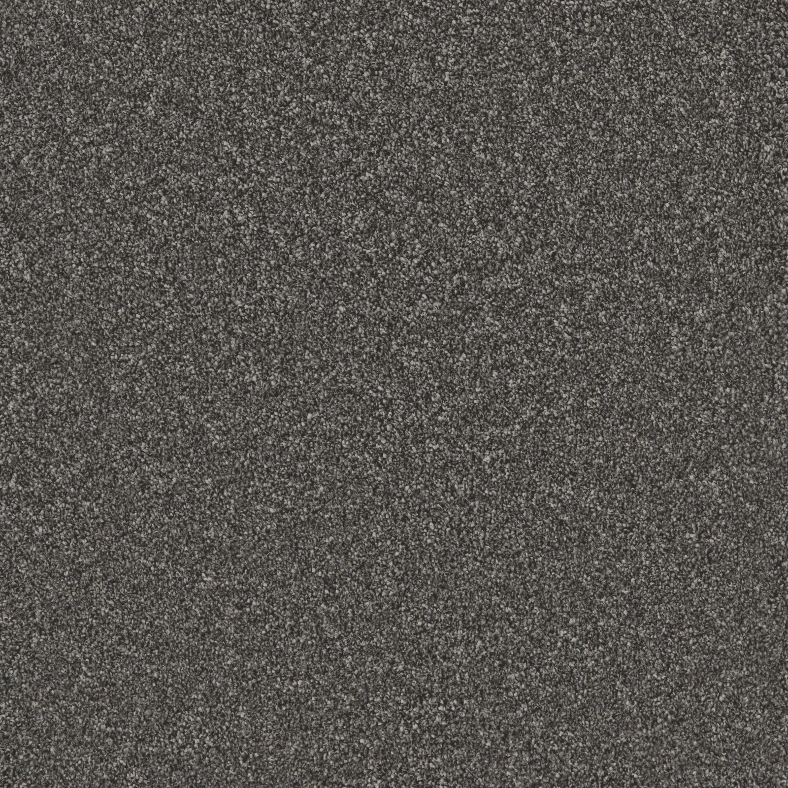 Bliss & Bliss Comfort Carpets by Furlong Flooring