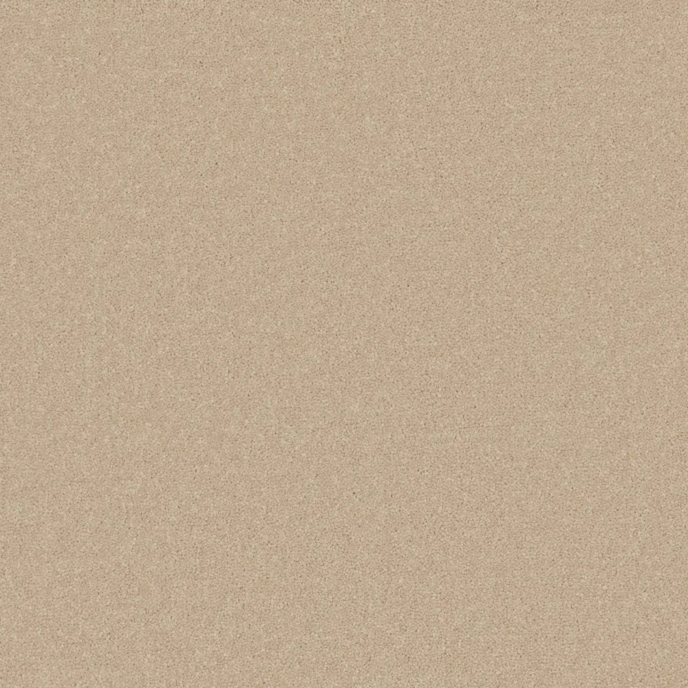 Elegance Carpet by Furlong Flooring | Quality Carpets