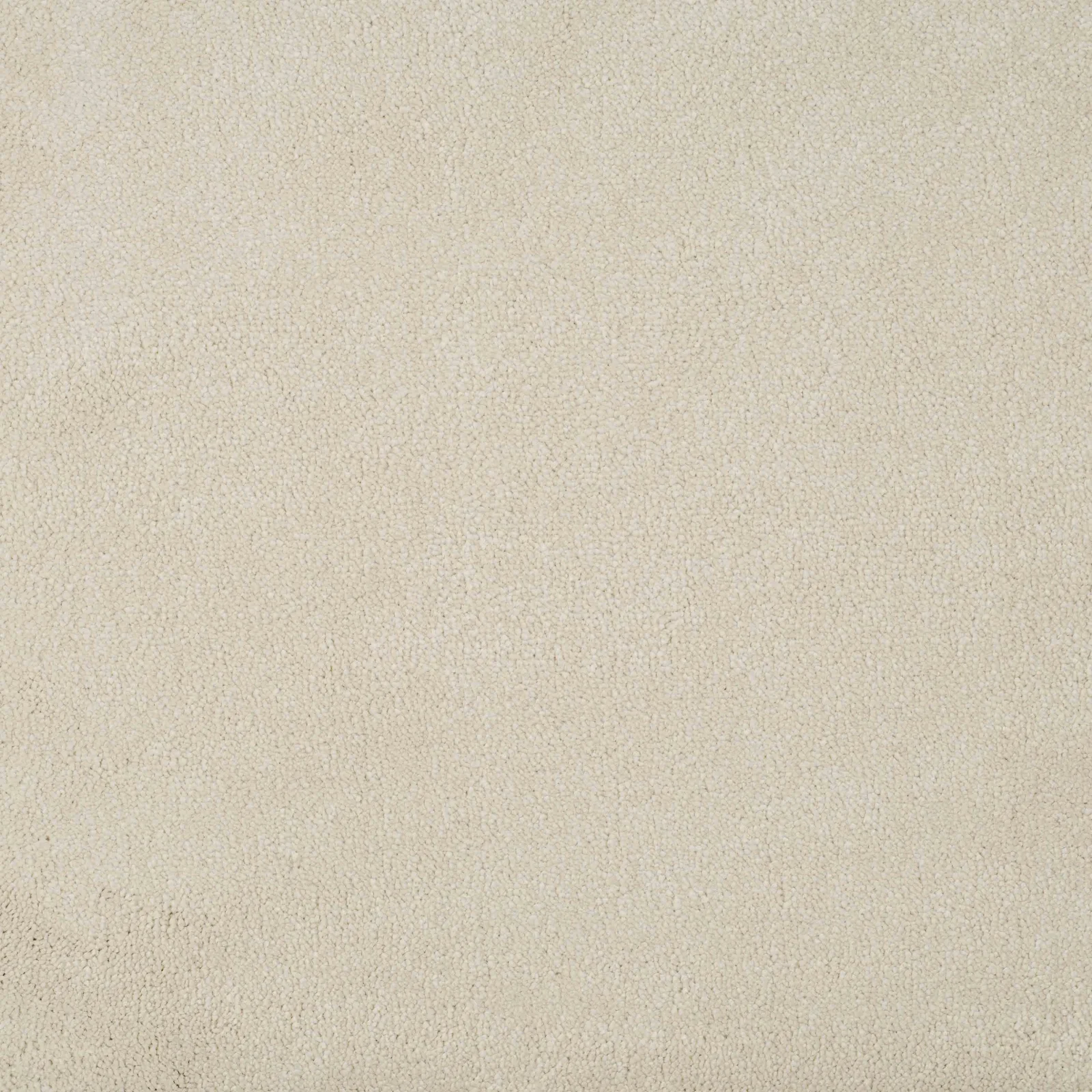 Delight Carpet by Balta - Finishing Touch Collection