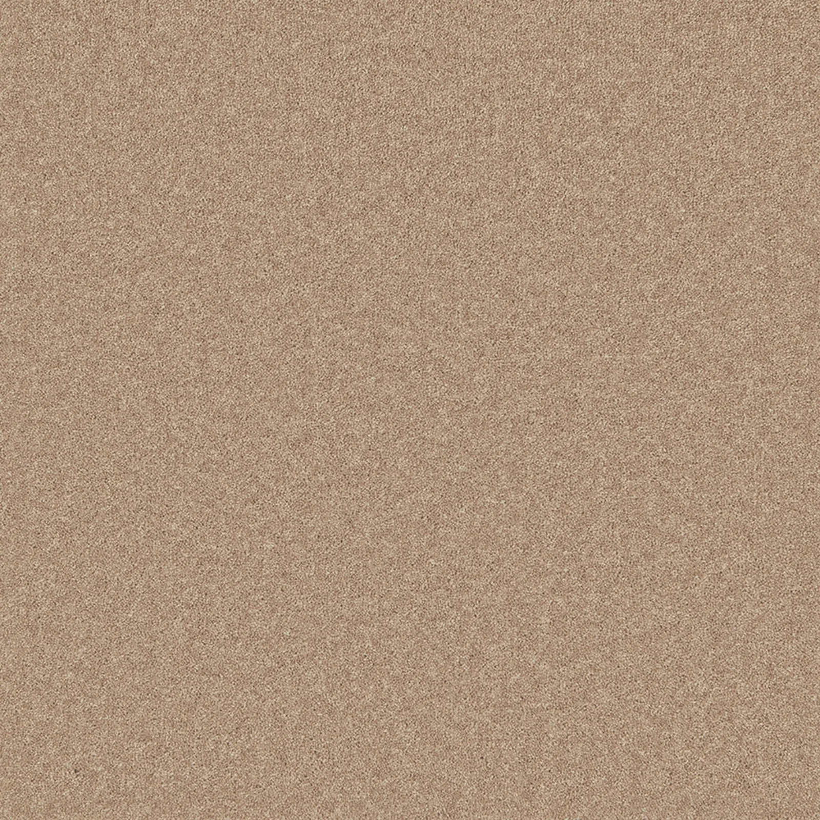 Pembroke Carpet by Cormar Carpets | Quality Flooring