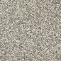 Arctic Grey