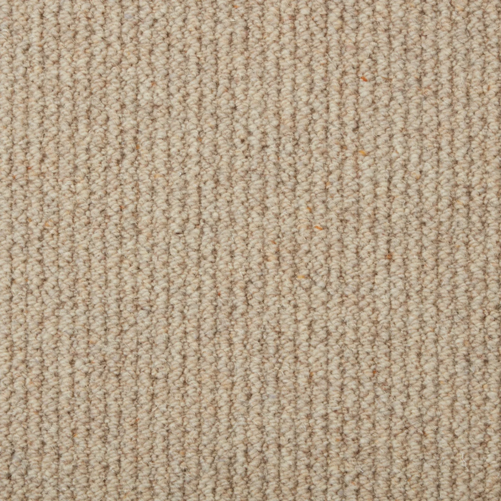 Malabar Two Fold