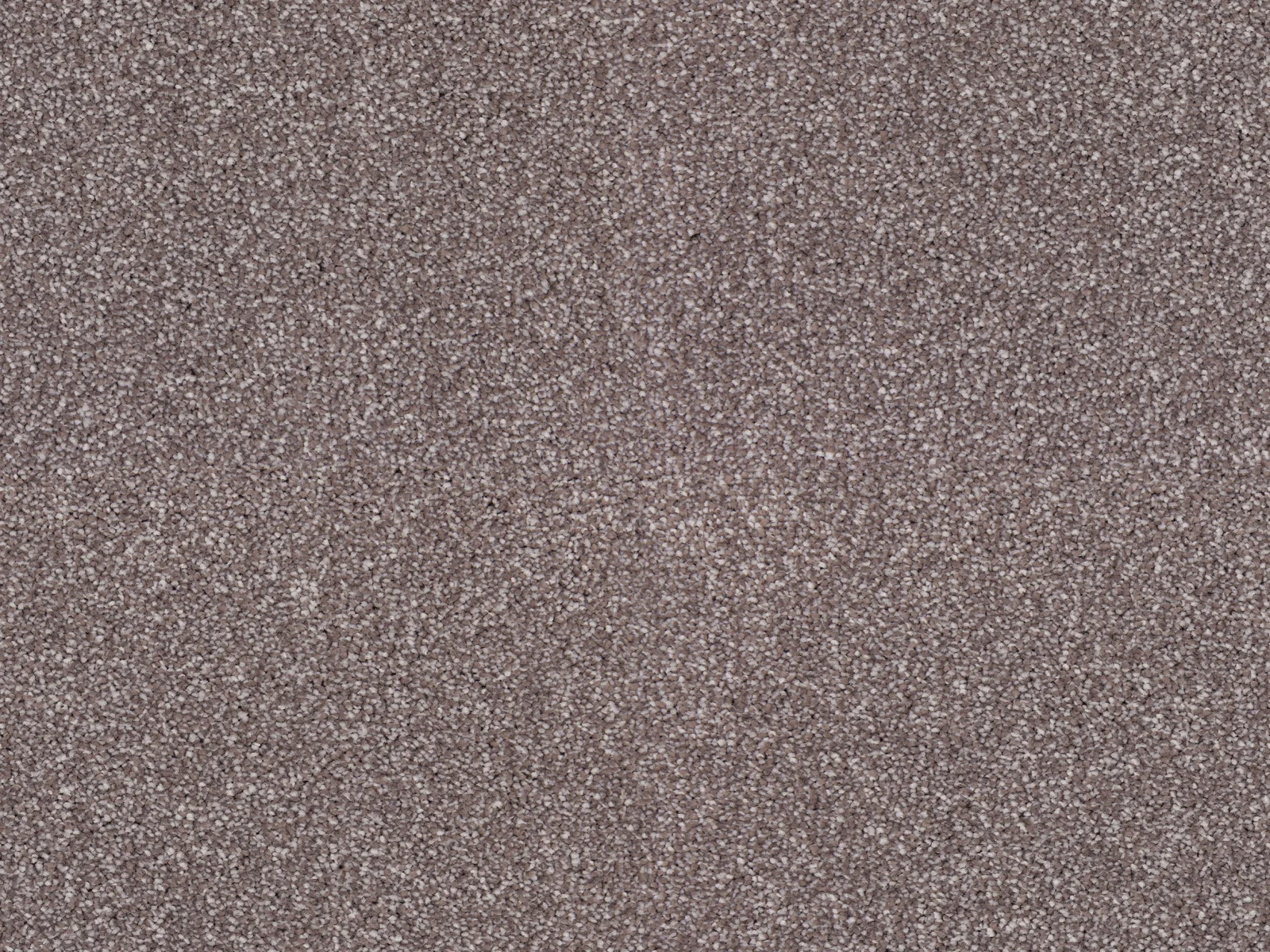 Heathertwist Elite Carpet by Lano | Quality Carpets in WV11