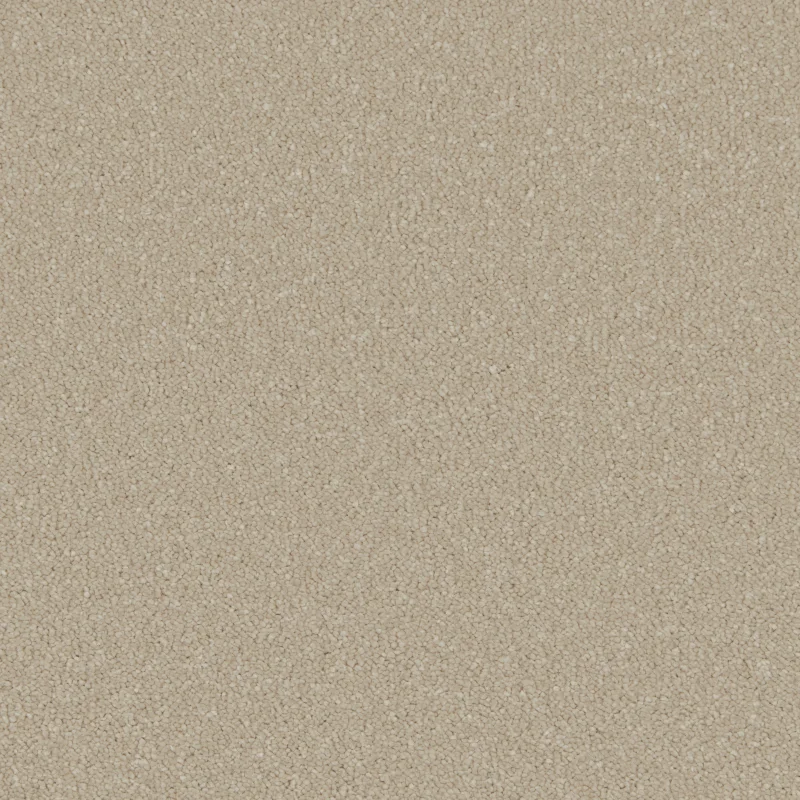 Silken Serenity Stucco