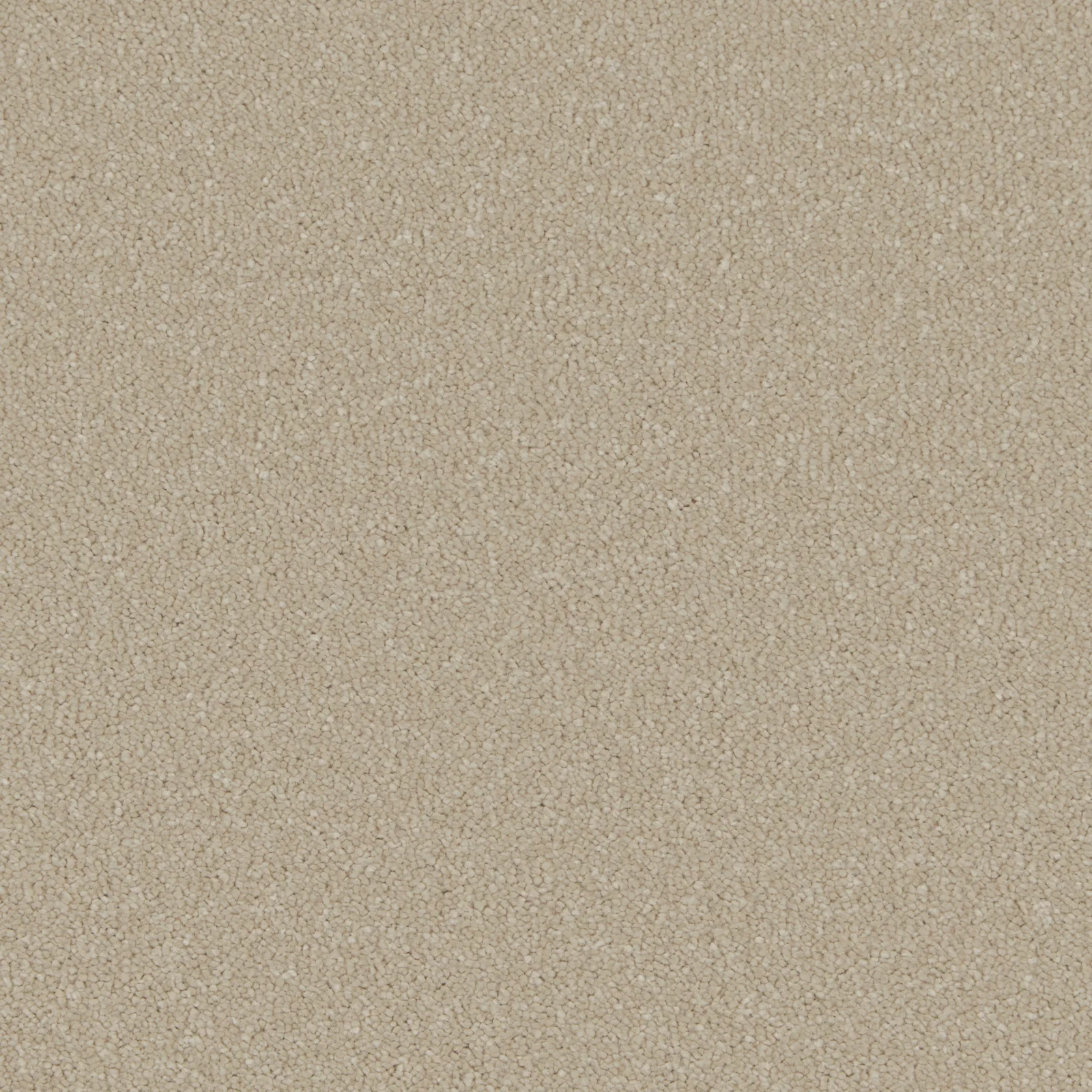 Silken Serenity Carpet by Cormar Carpets | Quality Flooring