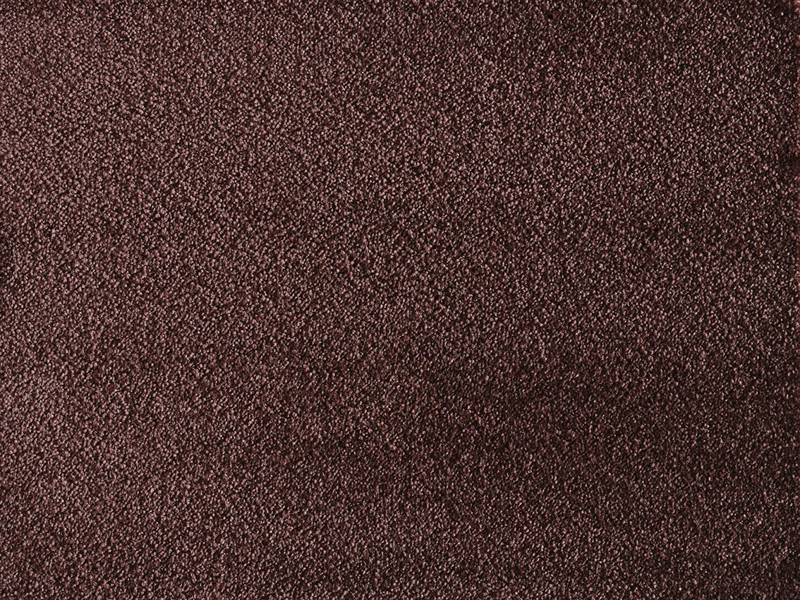 Satine Nova Carpet by Lano | Quality Carpets and Vinyl